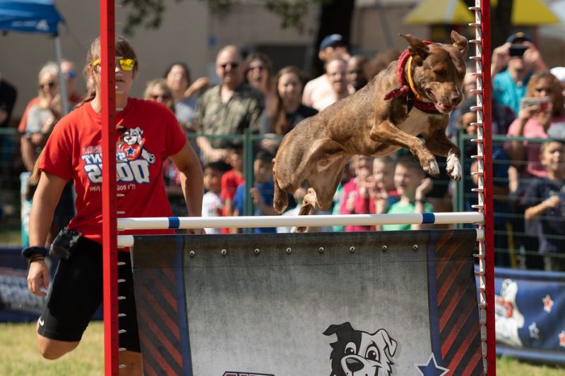 Community and Family Activities At Texas State Fair