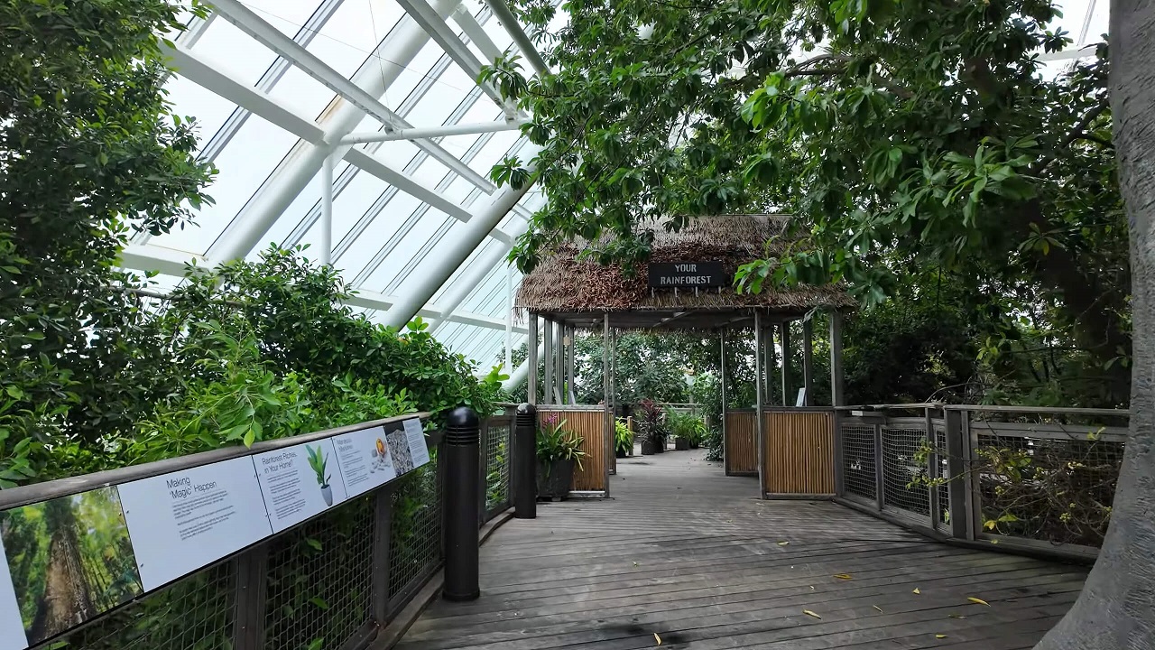 Moody Gardens Rainforest in Galveston