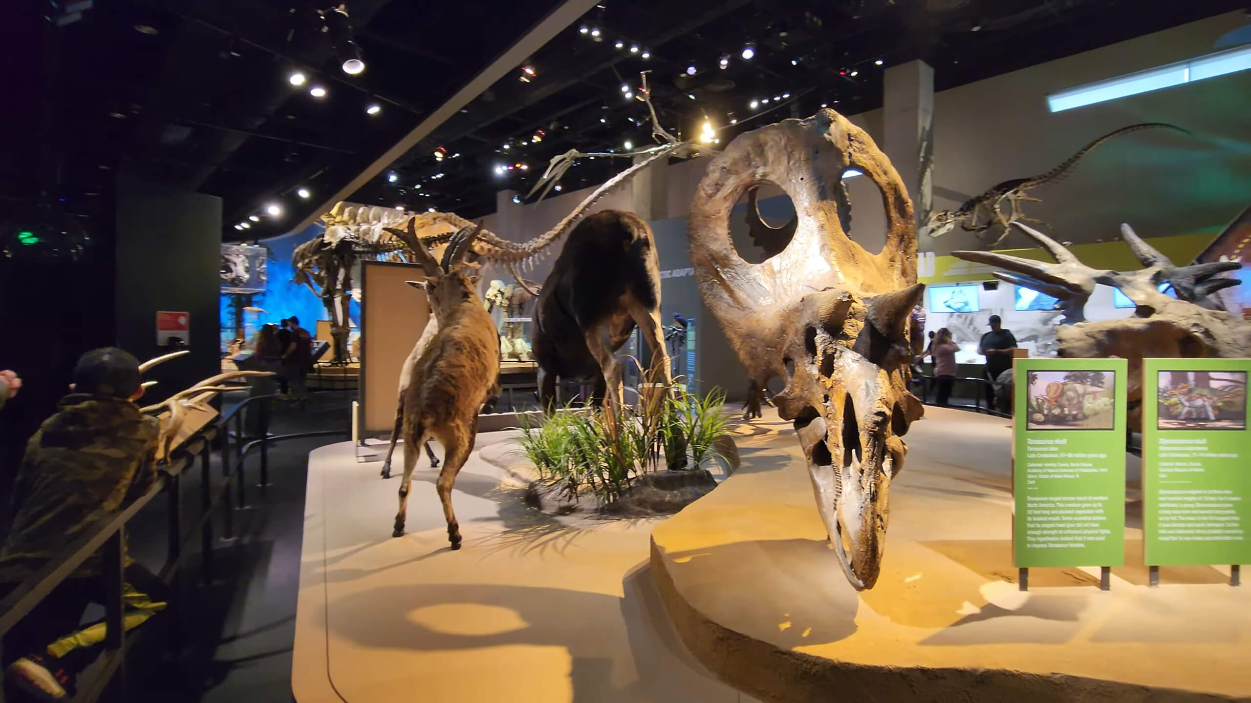 Tour through the Perot Museum in Dallas